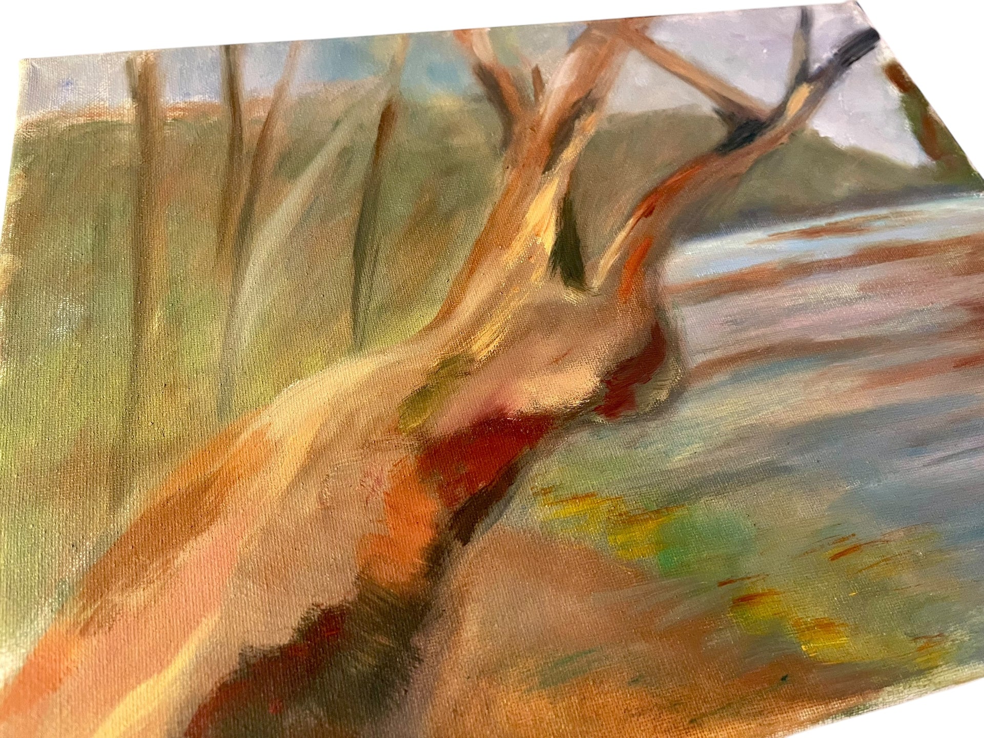Acrylic on Canvas Landscape Paintings (3)