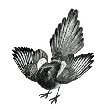 Magpie Reclamations logo