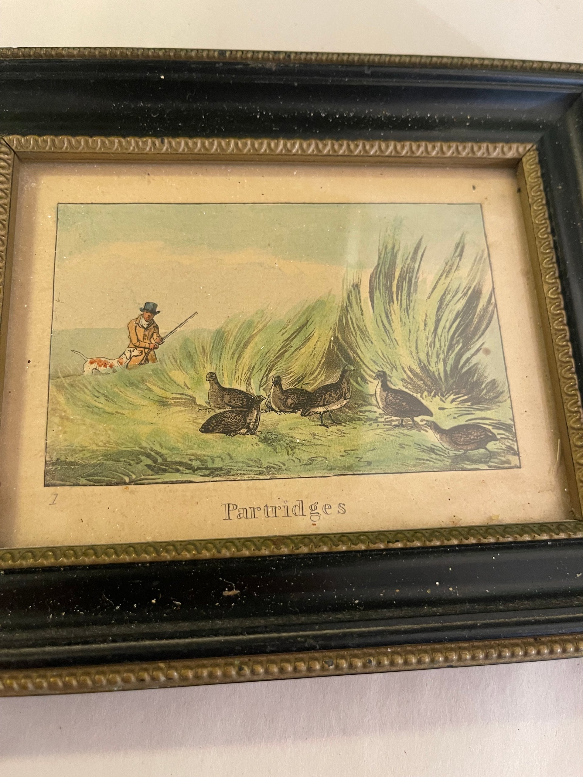 Antique Framed Colored Engraving “Partridges”