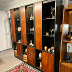 Vintage Harvey Probber Alternating Door Display Cabinets Rosewood & Ebonized Oak