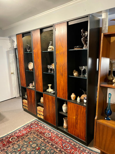 Vintage Harvey Probber Alternating Door Display Cabinets Rosewood & Ebonized Oak