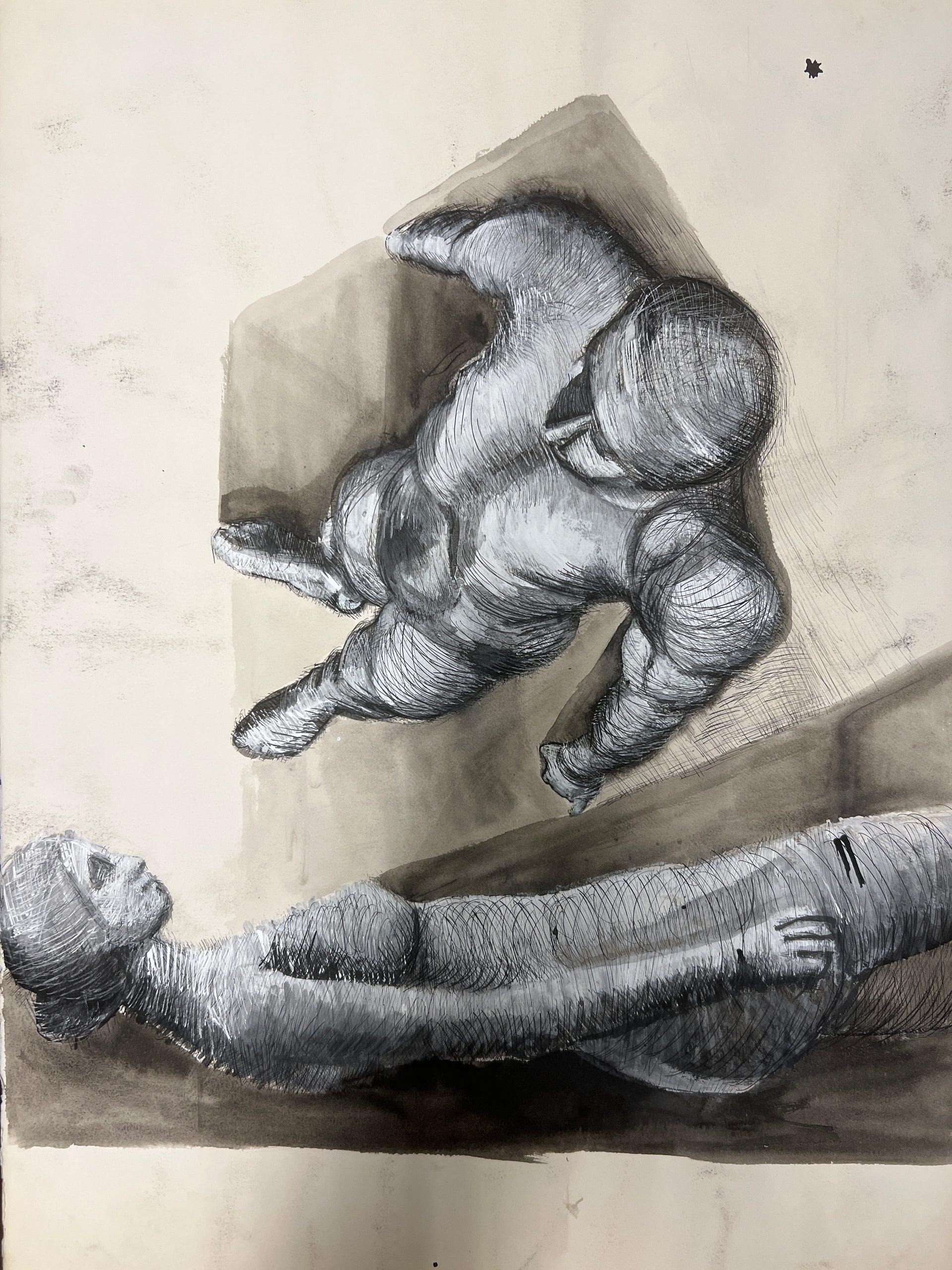 Anatomy Shadows (Nina Gelin-Meier Collection)