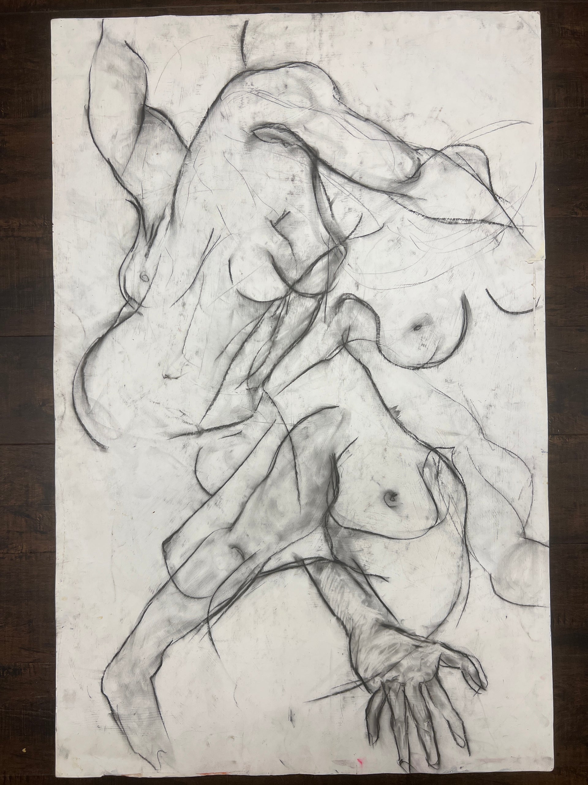 Tangled in Charcoal with Butt on Back (Nina Gelin-Meier Collection)