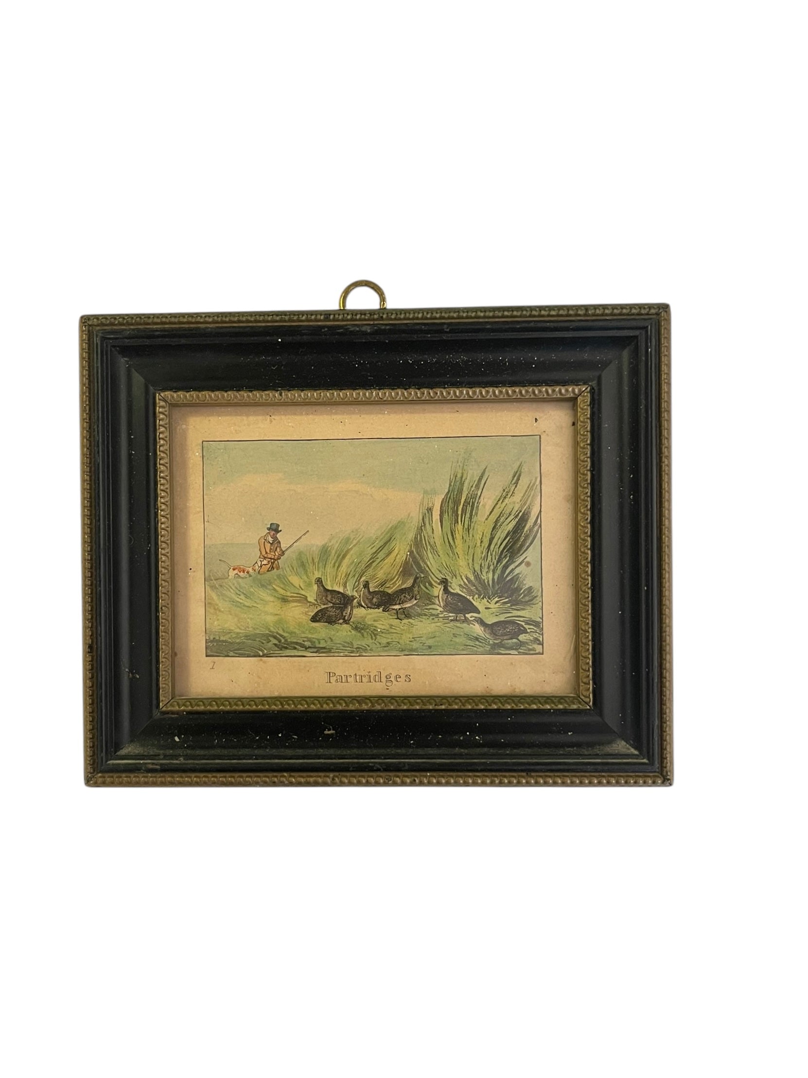 Antique Framed Colored Engraving “Partridges”