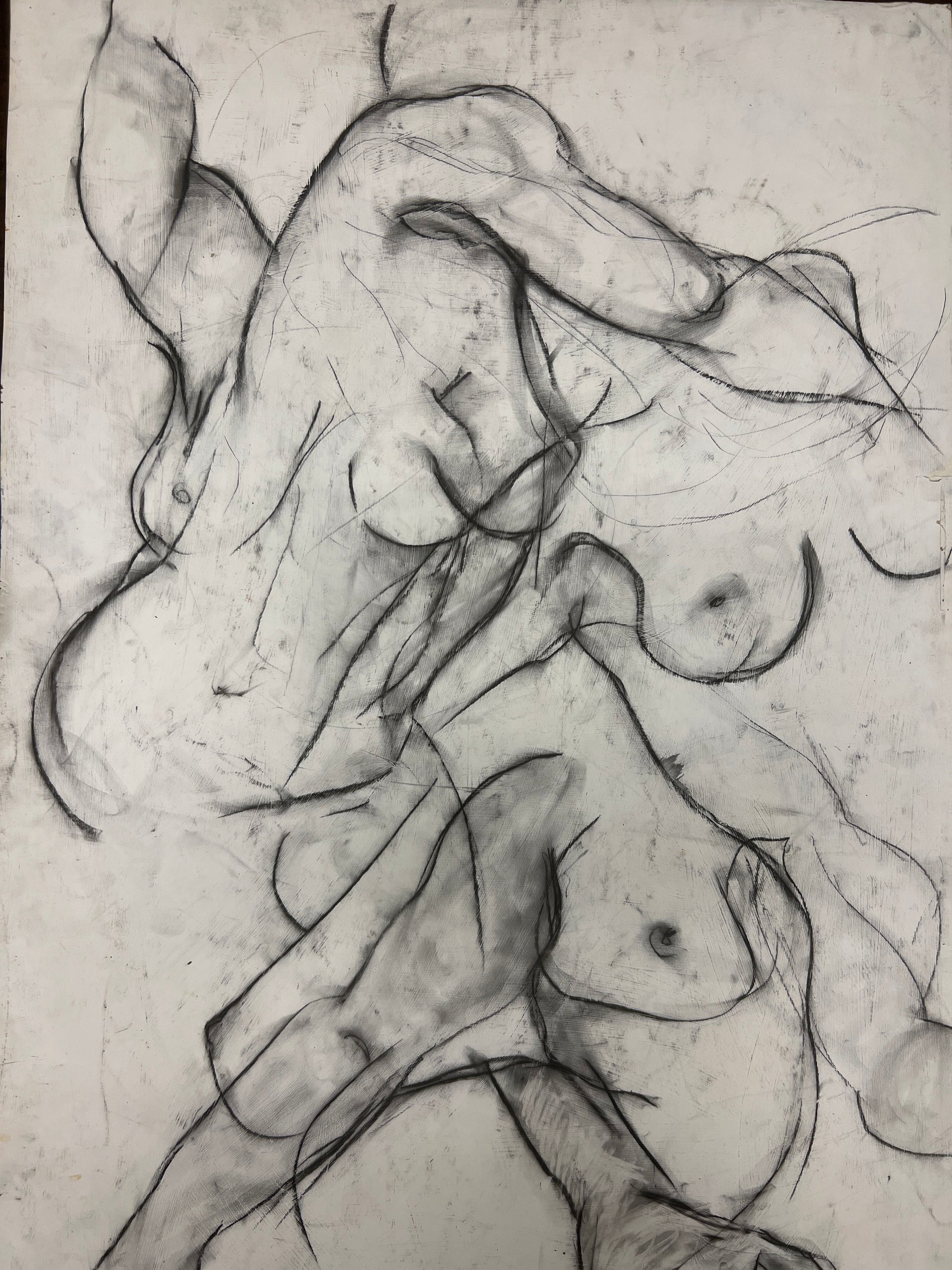 Tangled in Charcoal with Butt on Back (Nina Gelin-Meier Collection)