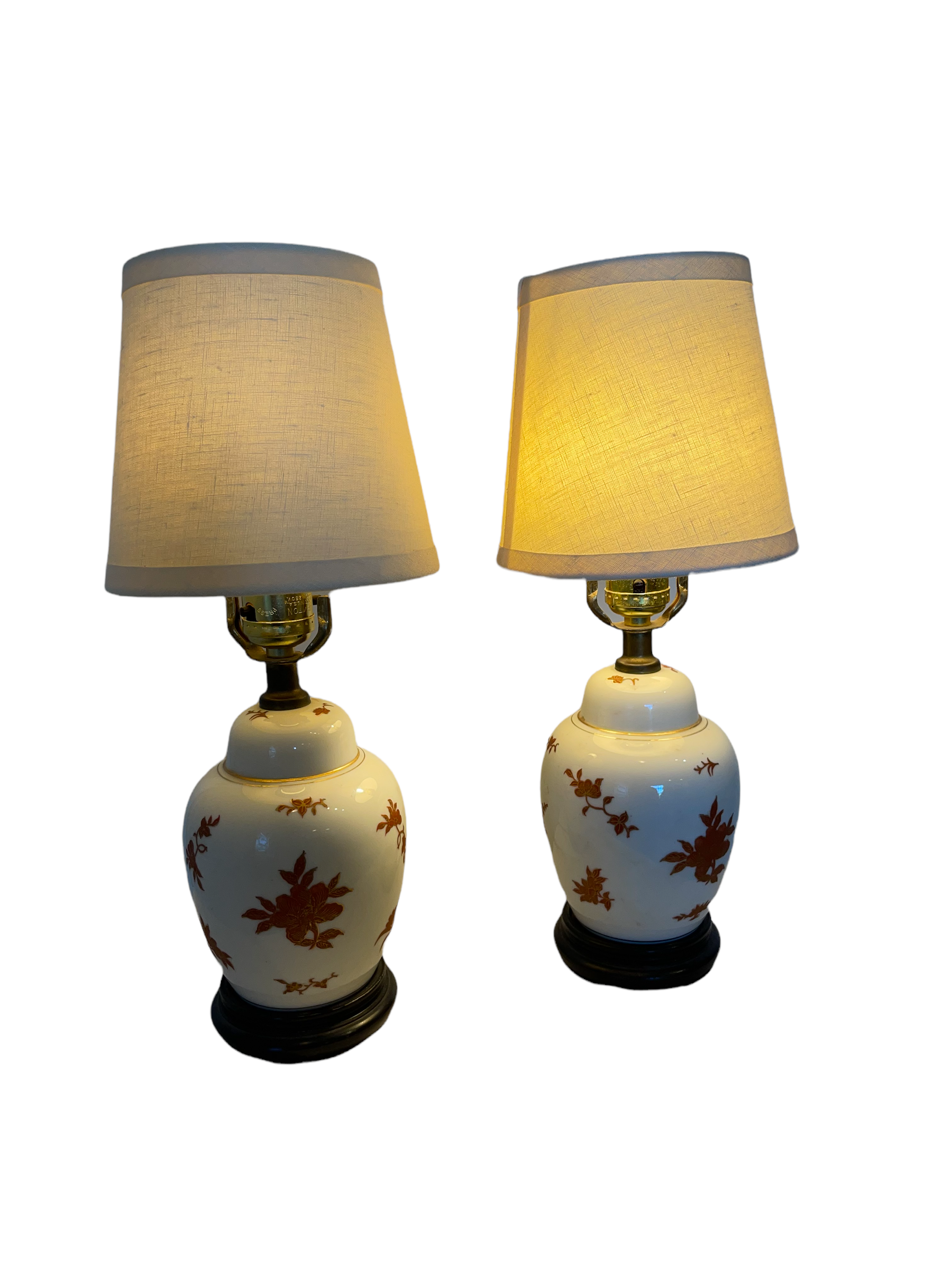 Pair of Asian Hand Painted Ginger Jar Table Lamps
