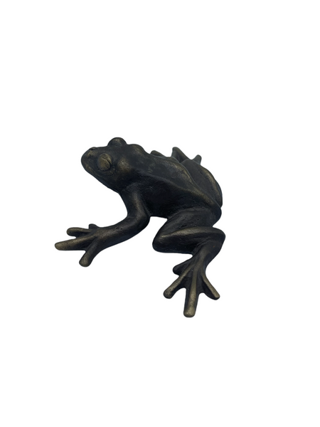 Brass Tree Frog